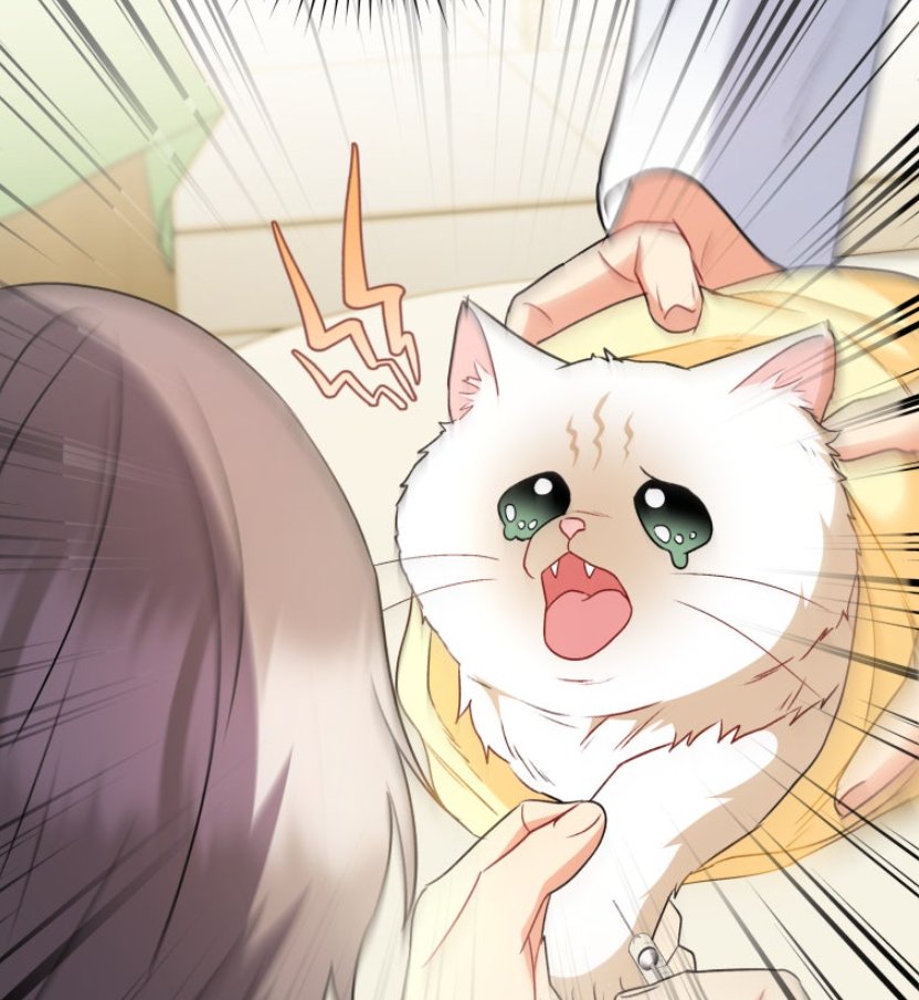 niniwebtoon's tweet photo. 🐾목요웹툰 <수의사님! 안녕하세요?>
54화가 오늘 밤 22:00에 업로드 됩니다!

#수의사 #동물병원 #힐링웹툰 #아프지마
#RONO #사기21 #서건주 #스튜디오니니
#판시아 #카카오페이지 #카카오웹툰  

🐾KKP : https://t.co/g0Coc87crF
🐾KW : https://t.co/ZiYBkMeM8U https://t.co/klVHHQnEvv