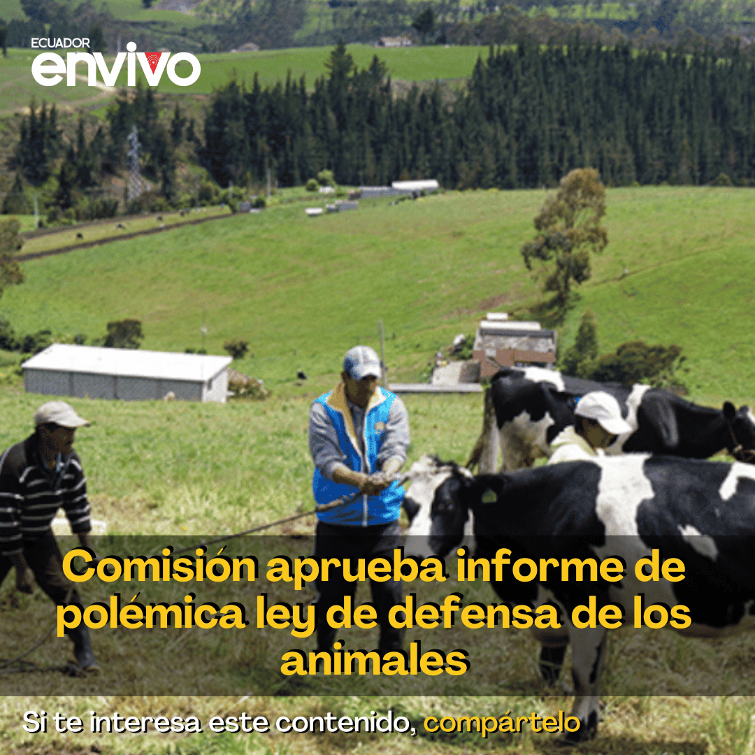 ecuadorenvivo's tweet photo. La Comisión de Biodiversidad y @RecNaturalesEC, este lunes 15 de julio, con siete votos afirmativos, aprobó el informe para primer debate del proyecto de Ley Orgánica para la Protección y Defensa de los Derechos de los #Animales ➡️ https://t.co/XB7pcNEQAS https://t.co/xjZO4XHlyu