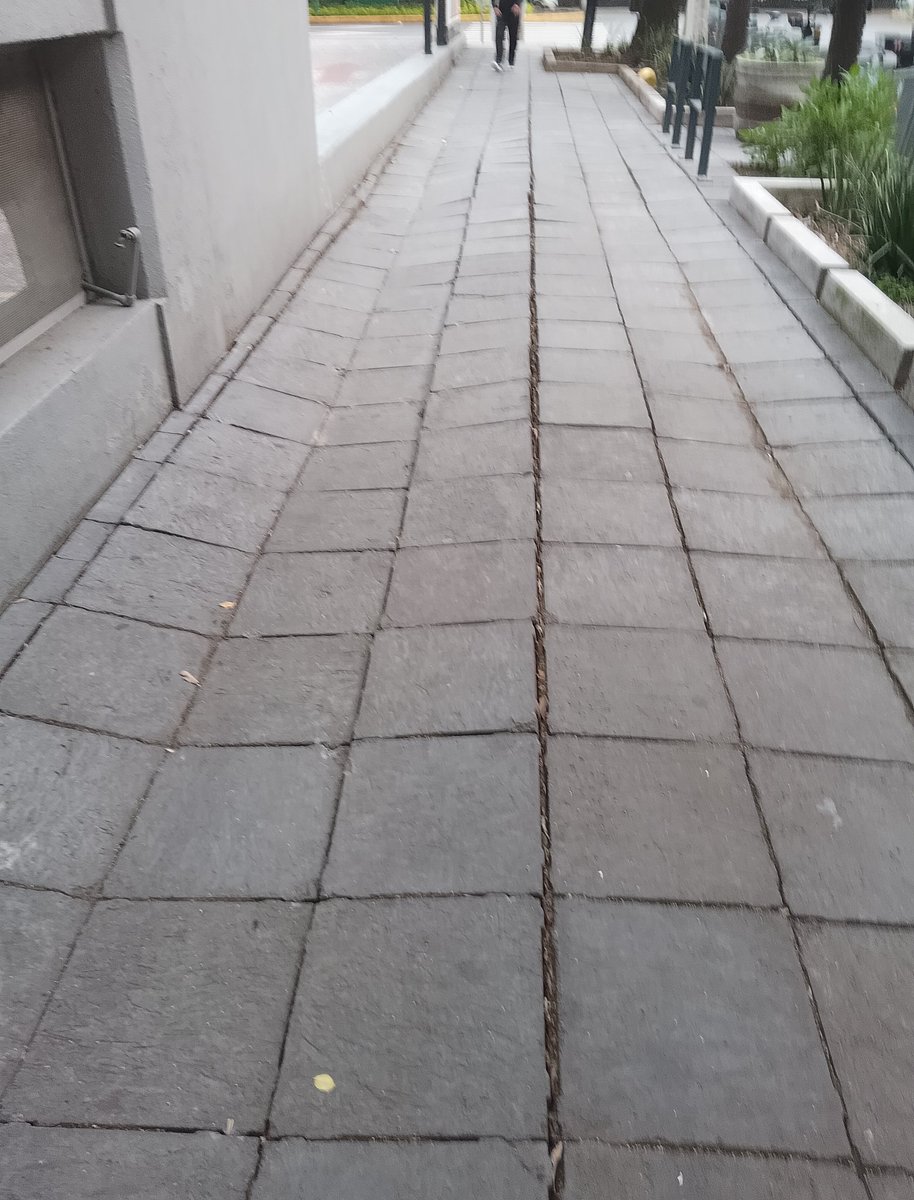 PericoDS tweet media