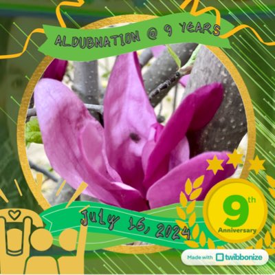 Sino Days tweet media