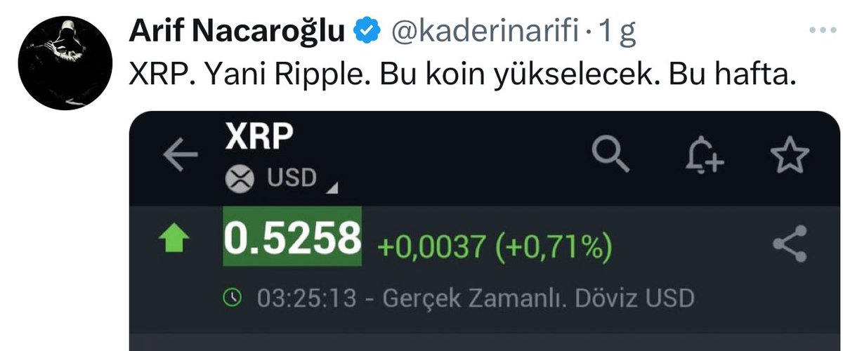XRP uçuyor. 0.55 oldu. Daha gider bu.