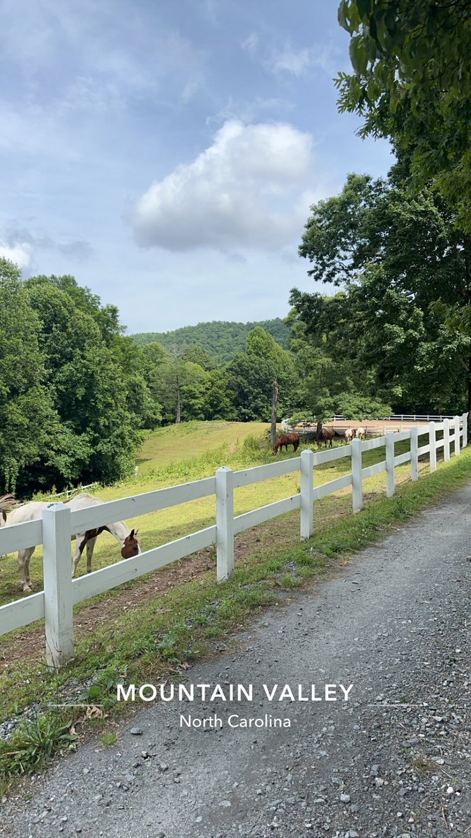 I really don’t wanna go home anytime soon