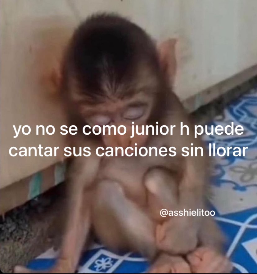 Junior h tweet media