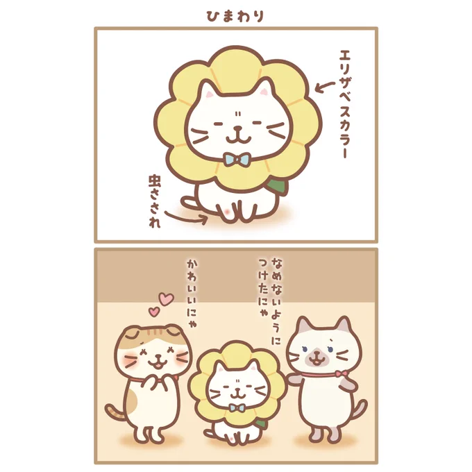 ひまわりになったしろたまちゃん🌻

#ふくふくにゃんこ集会 