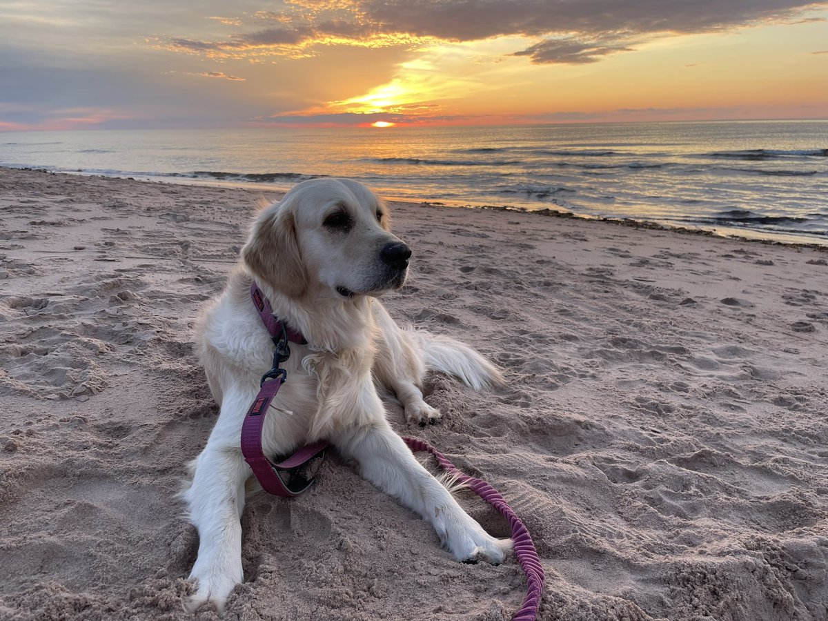 Elleemcee tweet media