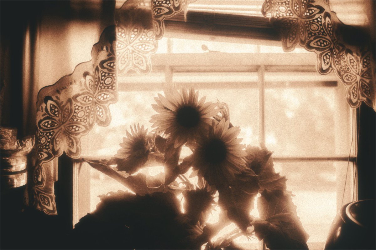 __e_b_m__'s tweet photo. 🌻Summertime🌻 https://t.co/5PUzYeVLrY