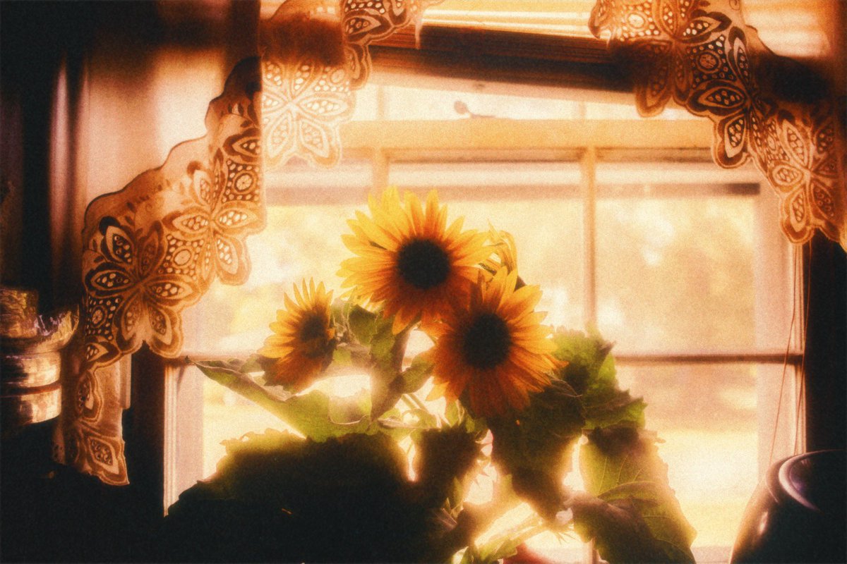 __e_b_m__'s tweet photo. 🌻Summertime🌻 https://t.co/5PUzYeVLrY