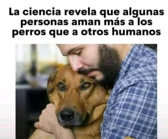 GRamirezF_D12's tweet photo. Buenas noches ✨💖 https://t.co/vKO3Zh9RjF