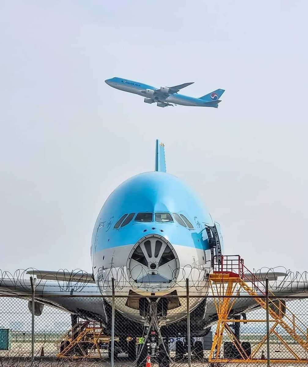 Máy bay A380 của Korean Air bị loại bỏ sau 9 năm

Sau gần 9 năm phục vụ, chiếc HL-7613 của Korean Air đã bị loại bỏ tại sân bay Inch vào tháng 5. ✈️🛠 Chuyến bay cuối cùng của hãng là vào ngày 4 tháng 3 năm 2020, từ Los Angeles đến Seoul, sau đó nó đã bị hạ