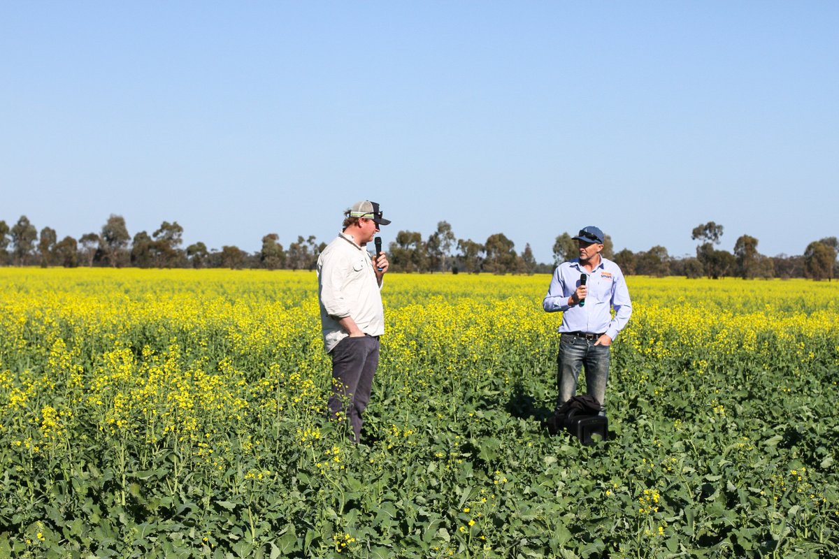 theGRDC's tweet photo. ๐ซ Have you got your tickets? The 11th annual WeedSmart Week is coming to Port Lincoln, SA on 29 and 30 July.
Read more: https://t.co/kM3WJ9k4ca
WeedSmart Innovations
#GroundCoverOnline #WeedSmartWeek https://t.co/II6BpuItP1
