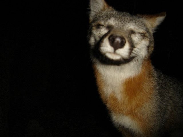 moth grinder (@senpakueyes) on Twitter photo 