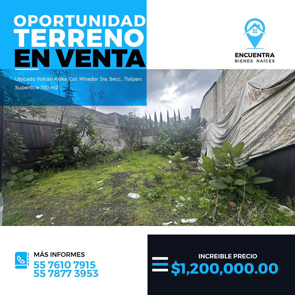 BienesEncuentra's tweet photo. https://t.co/N6y6zoEKeF

Agenda tu visita:

5576107915  
Linda I. Lopez Lugo  

#encuentrabienesraices #talpan #ventadeterreno #terrenoenventa #terrenosentlalpan #terrenos #Destacados https://t.co/daePAoI1LX