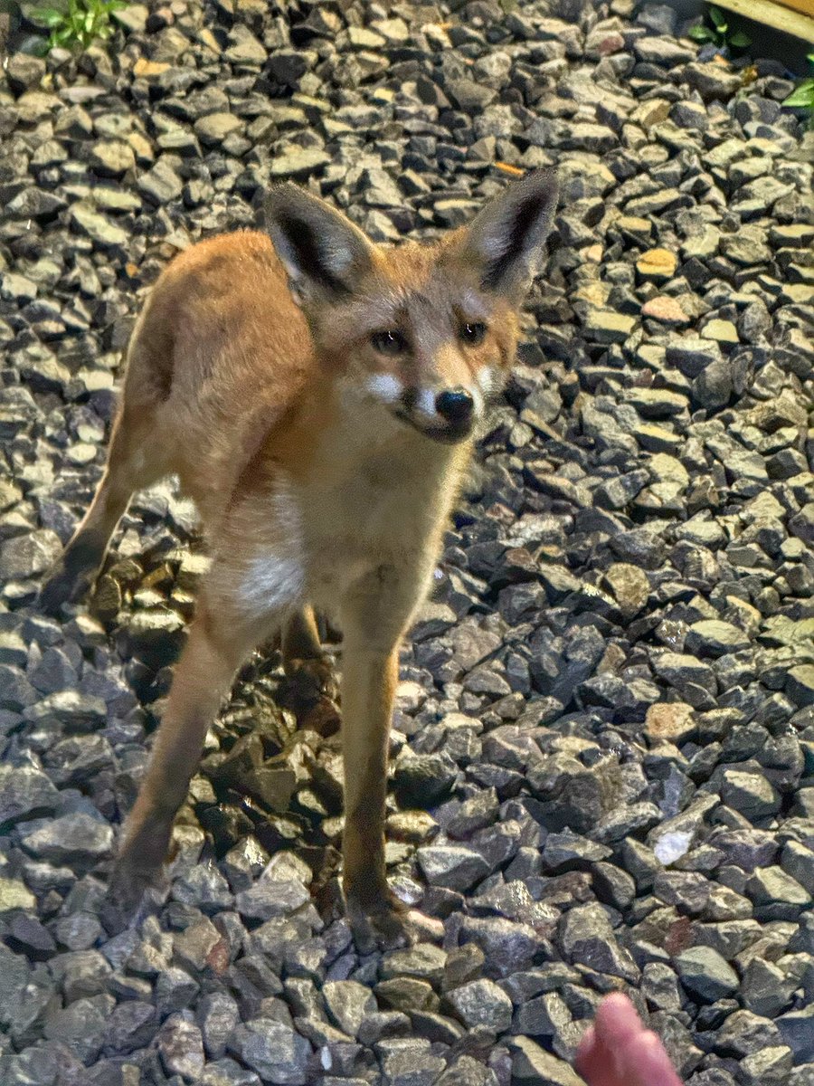 Paul 🏳️‍🌈🚂🏛️🌳📚📸 tweet media