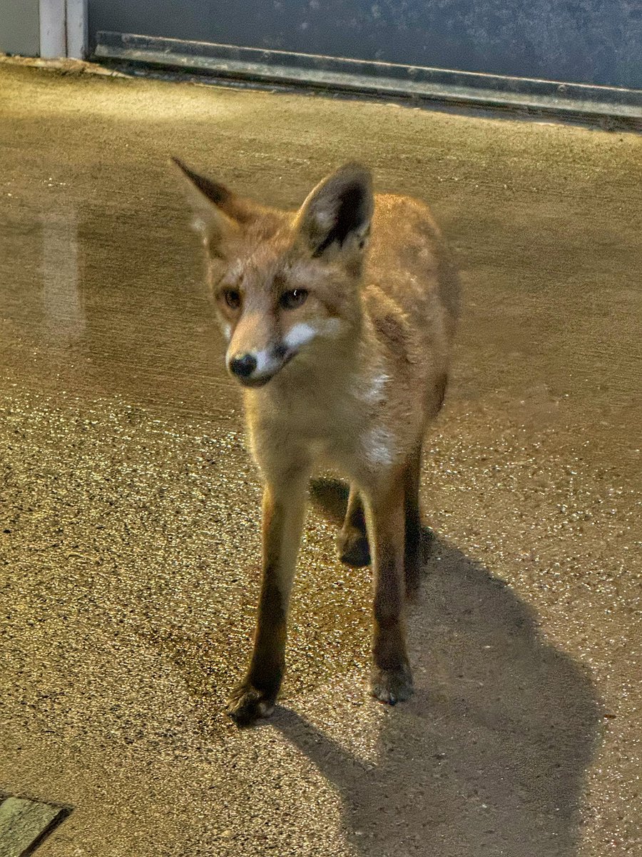 Paul 🏳️‍🌈🚂🏛️🌳📚📸 tweet media