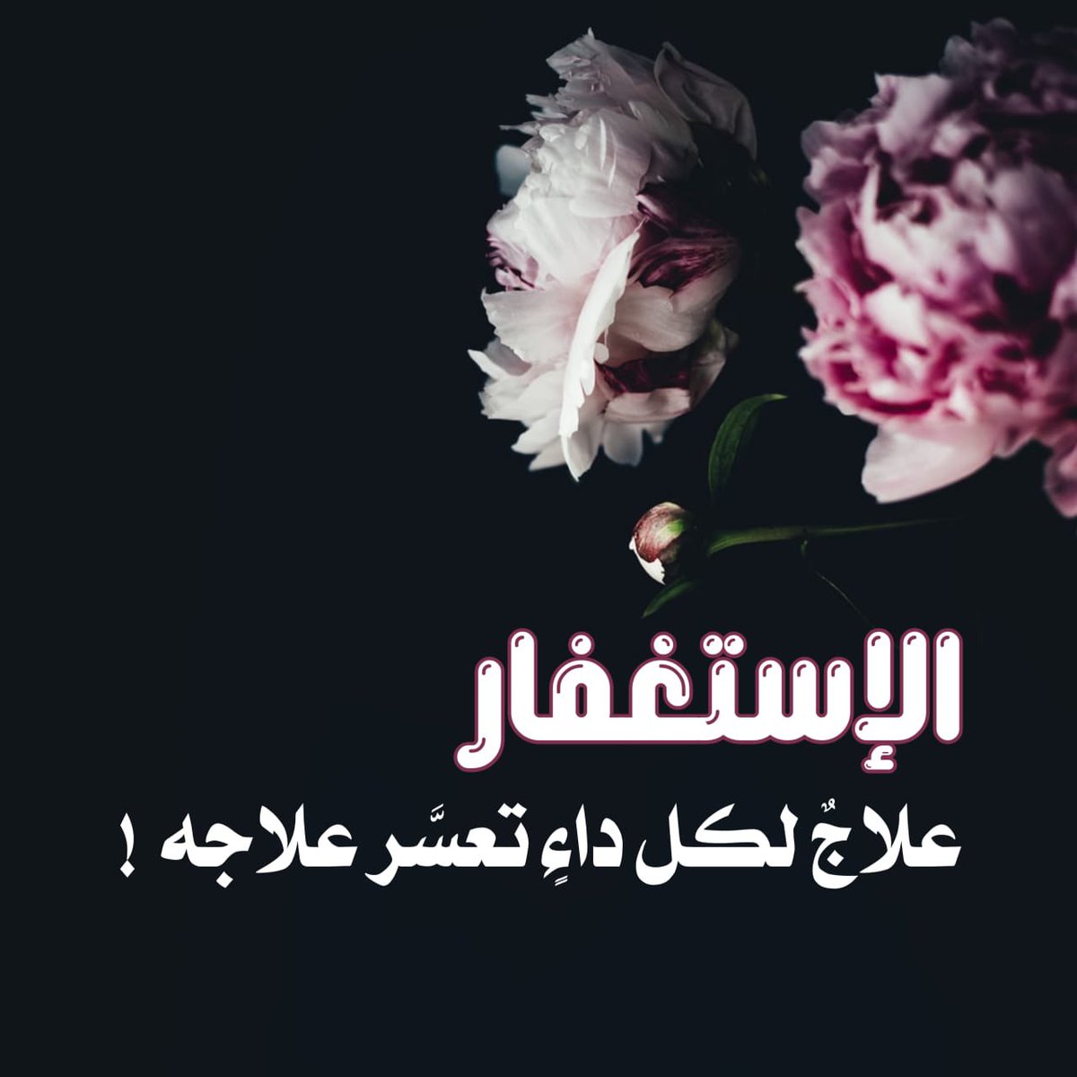 1Ma_sa_'s tweet photo. #تغريده_في_خاطري https://t.co/Rbt8sIHDd9