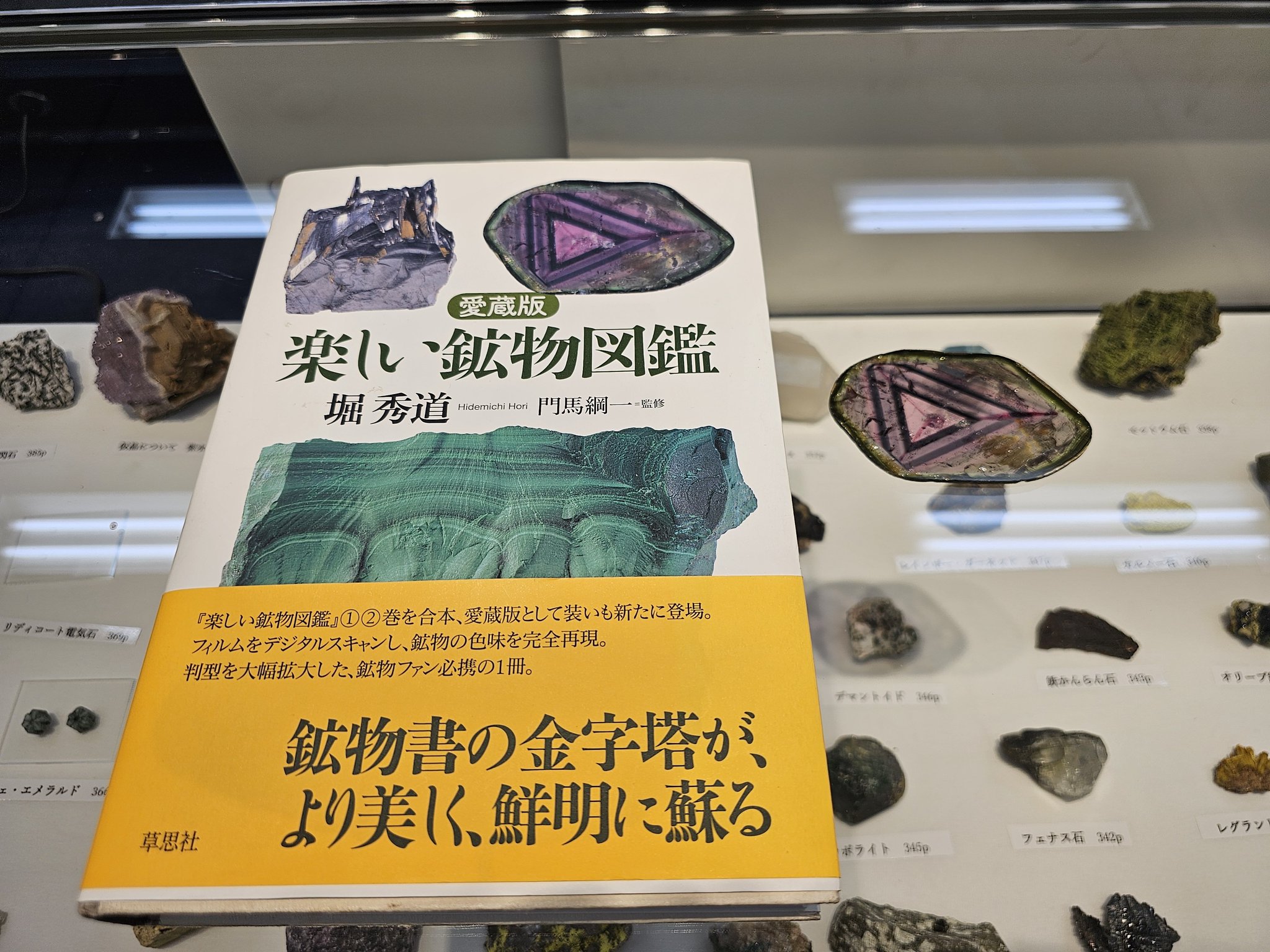Amazon.co.jp: 愛蔵版 楽しい鉱物図鑑 : 堀 秀道, 堀 秀道, 門馬