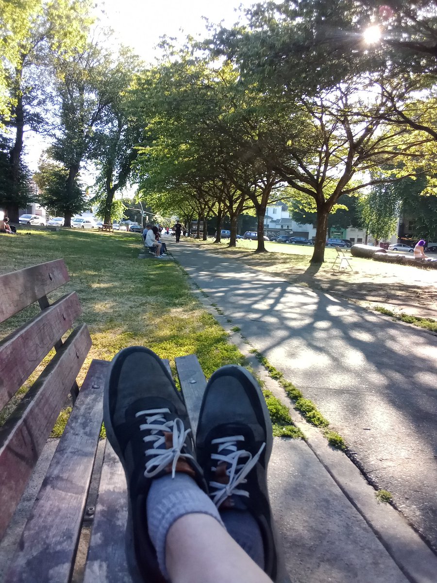 Ty was never really here 🇨🇦 tweet media