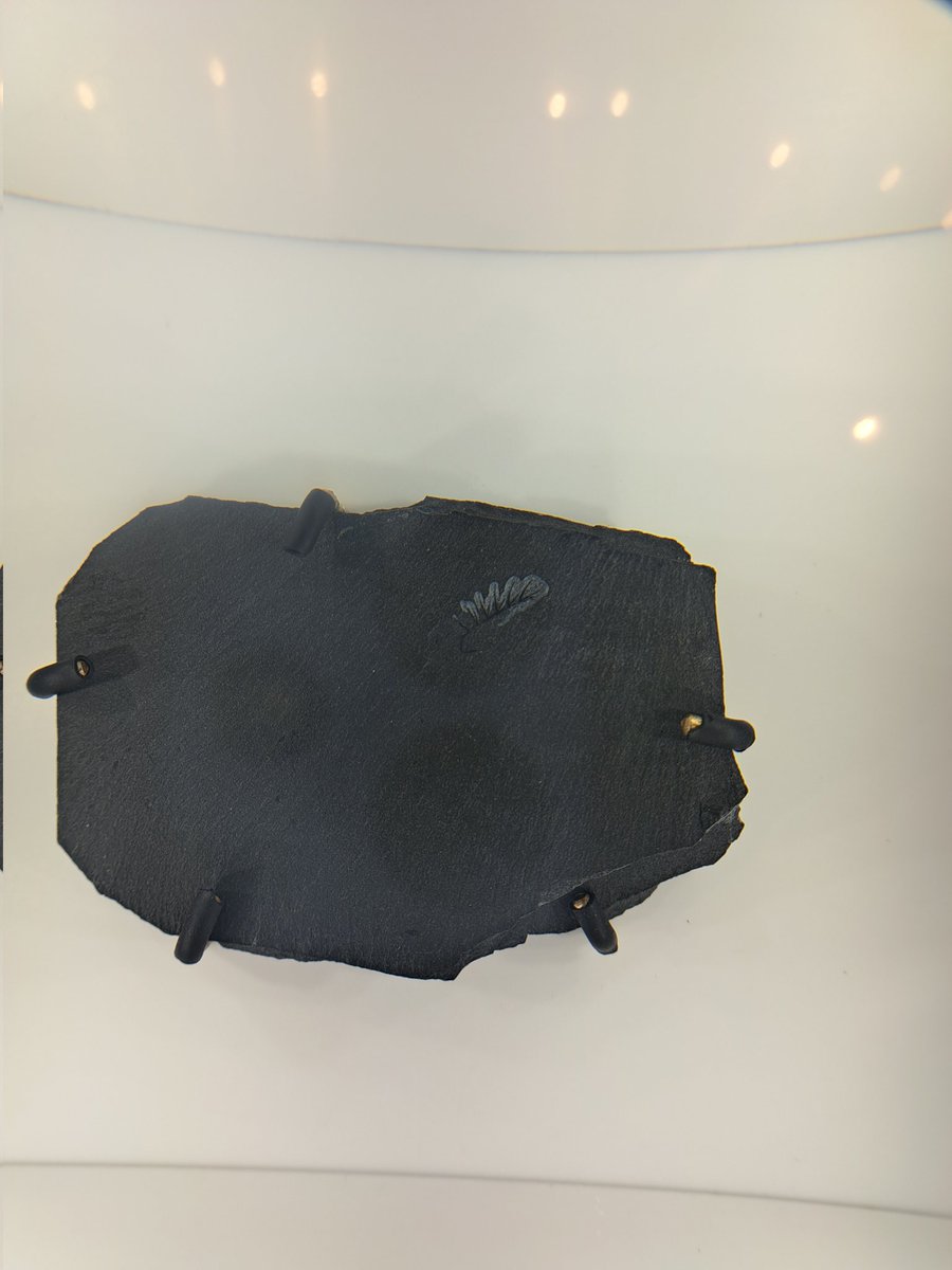 Steph_Eaton🇪🇺🔶 tweet media