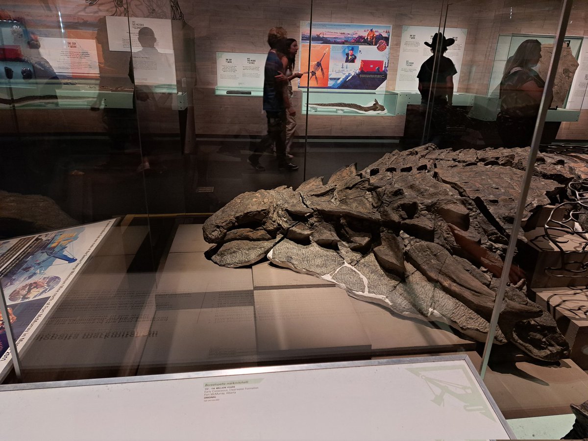 Steph_Eaton🇪🇺🔶 tweet media