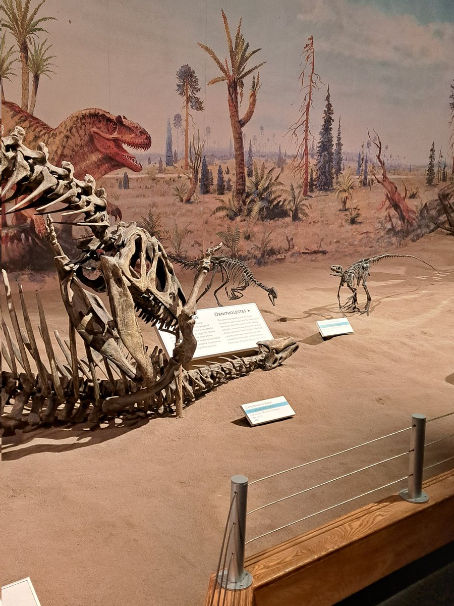 Steph_Eaton🇪🇺🔶 tweet media