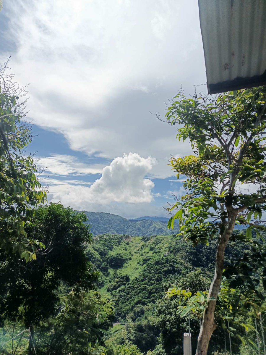 MECrescent's tweet photo. ❤️❤️❤️ #nature https://t.co/T6kftrSixT