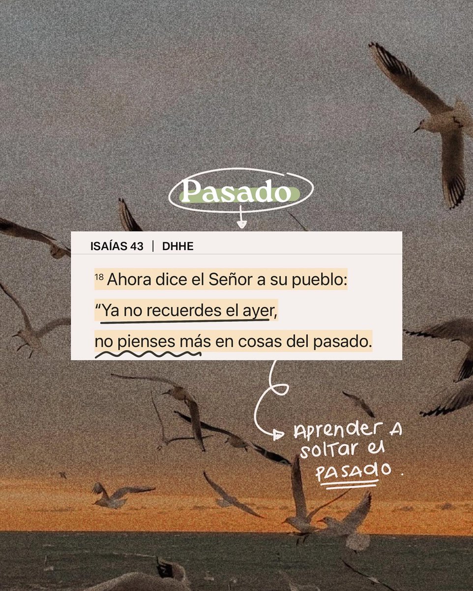 el Siervo (@elsiervo__) on Twitter photo 