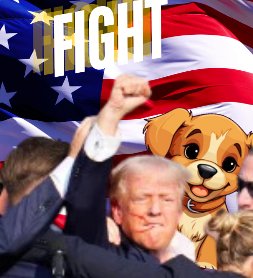 buddytokensol's tweet photo. You have to Fight what you believe in. LFG #buddyfam #Trump2024 https://t.co/dWGESVBAIe
