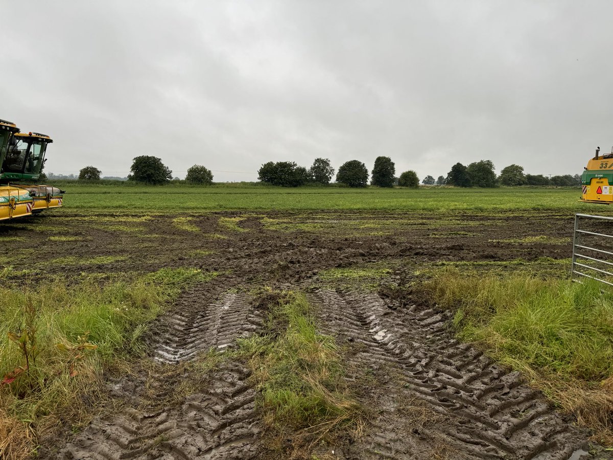 Fen Peas Ltd tweet media