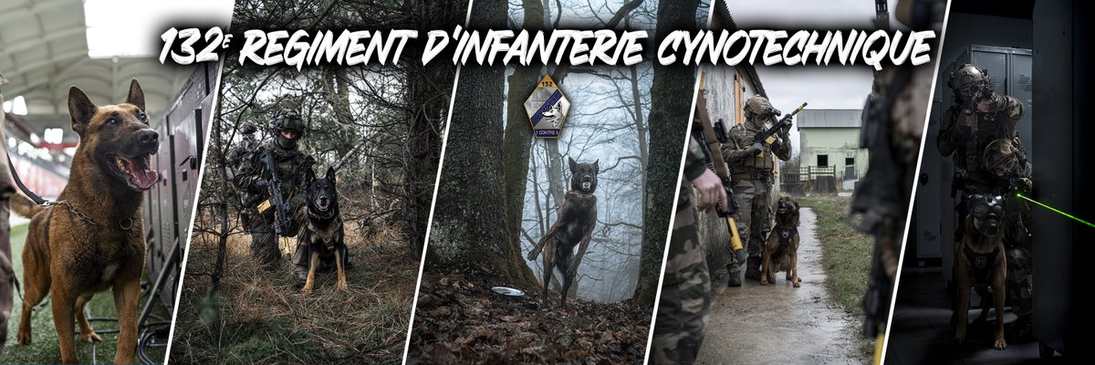 132e régiment d'infanterie cynotechnique tweet media