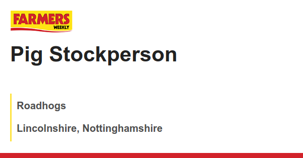 Roadhogs: Pig Stockperson dlvr.it/T9fB3h