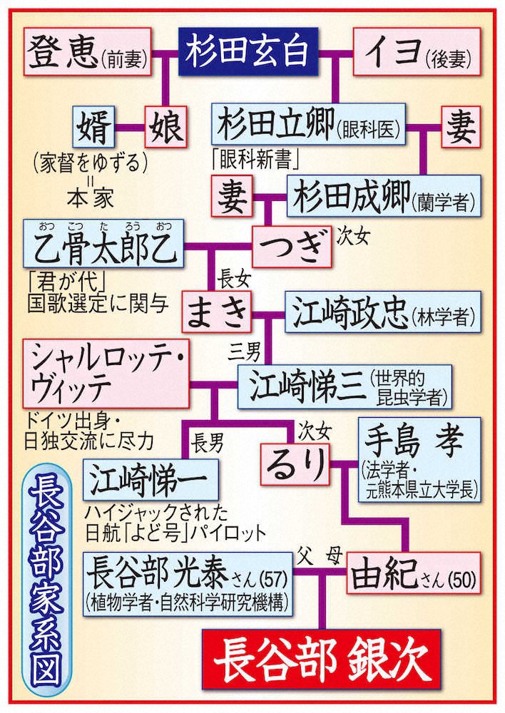家系図