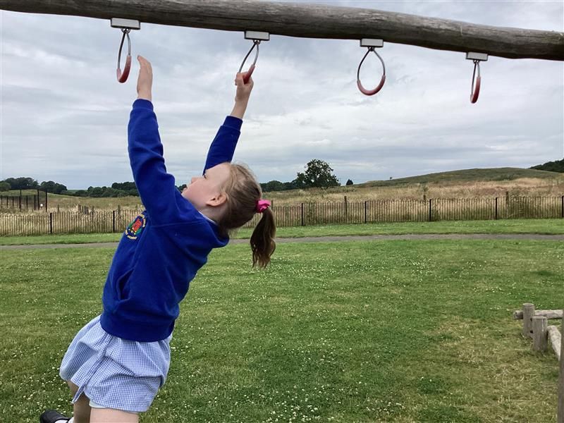 Holyoakes Field tweet media