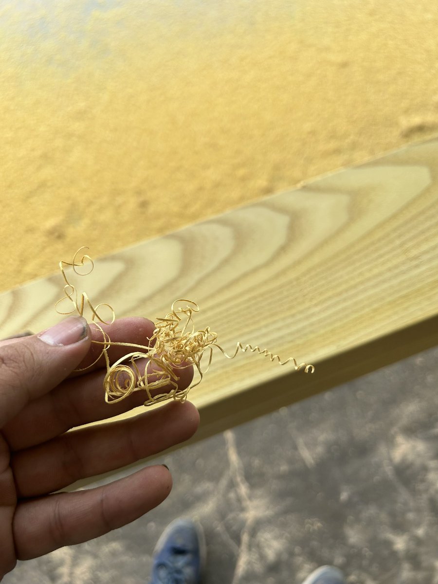 木材もぐもぐアイドルV🌳💫みむわりこ💫🌳 (@Mhfgo) / Posts / X