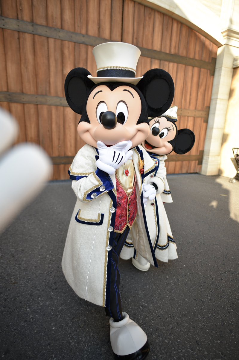 みぃちゃん tweet media