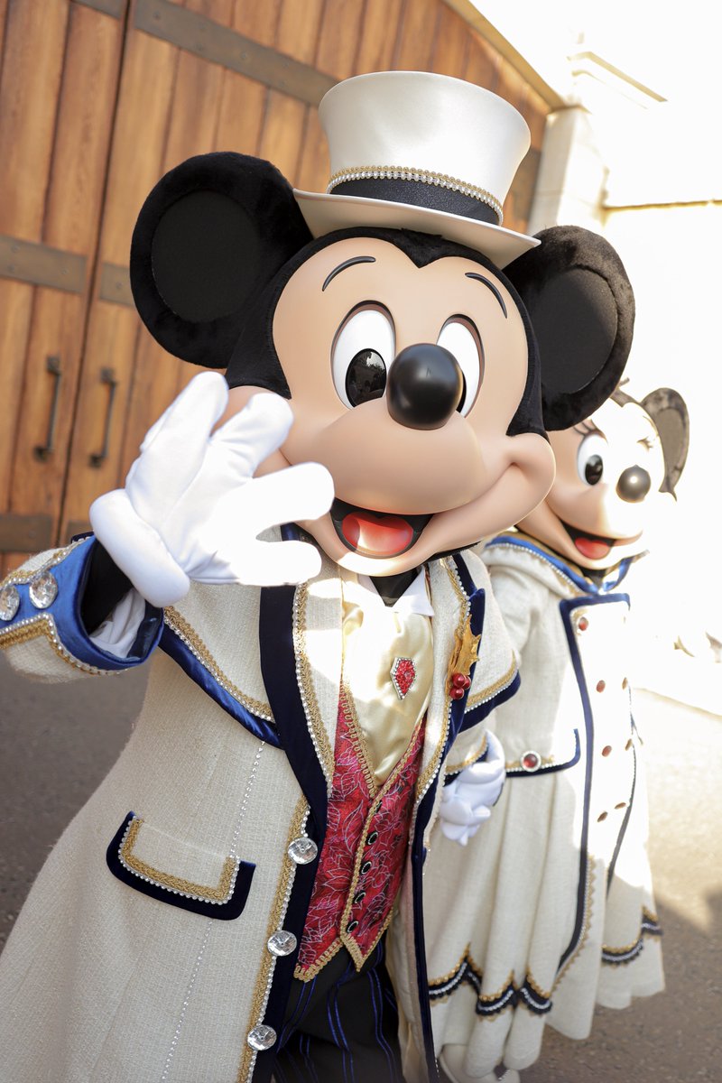 みぃちゃん tweet media