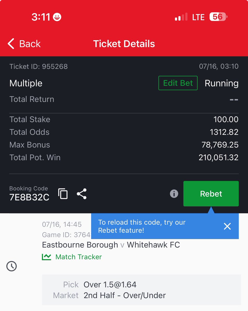 Tina 🌹 tweet media