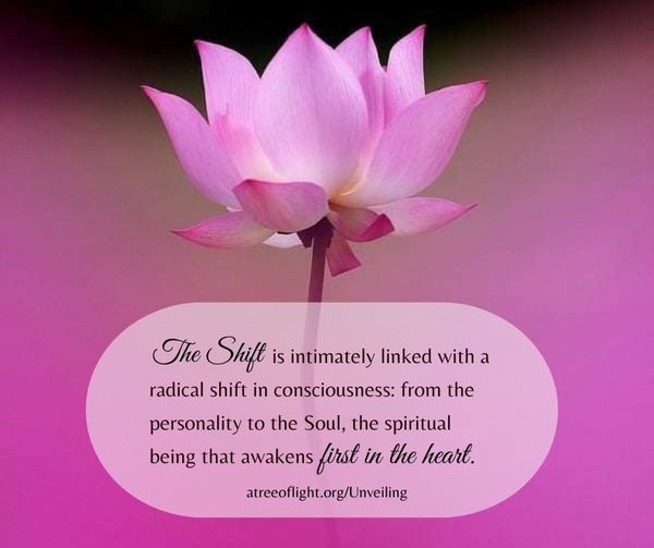 JoyofOneness's tweet photo. #consciousness #Personality #SOUL #awakening https://t.co/WIB10sbFFz
