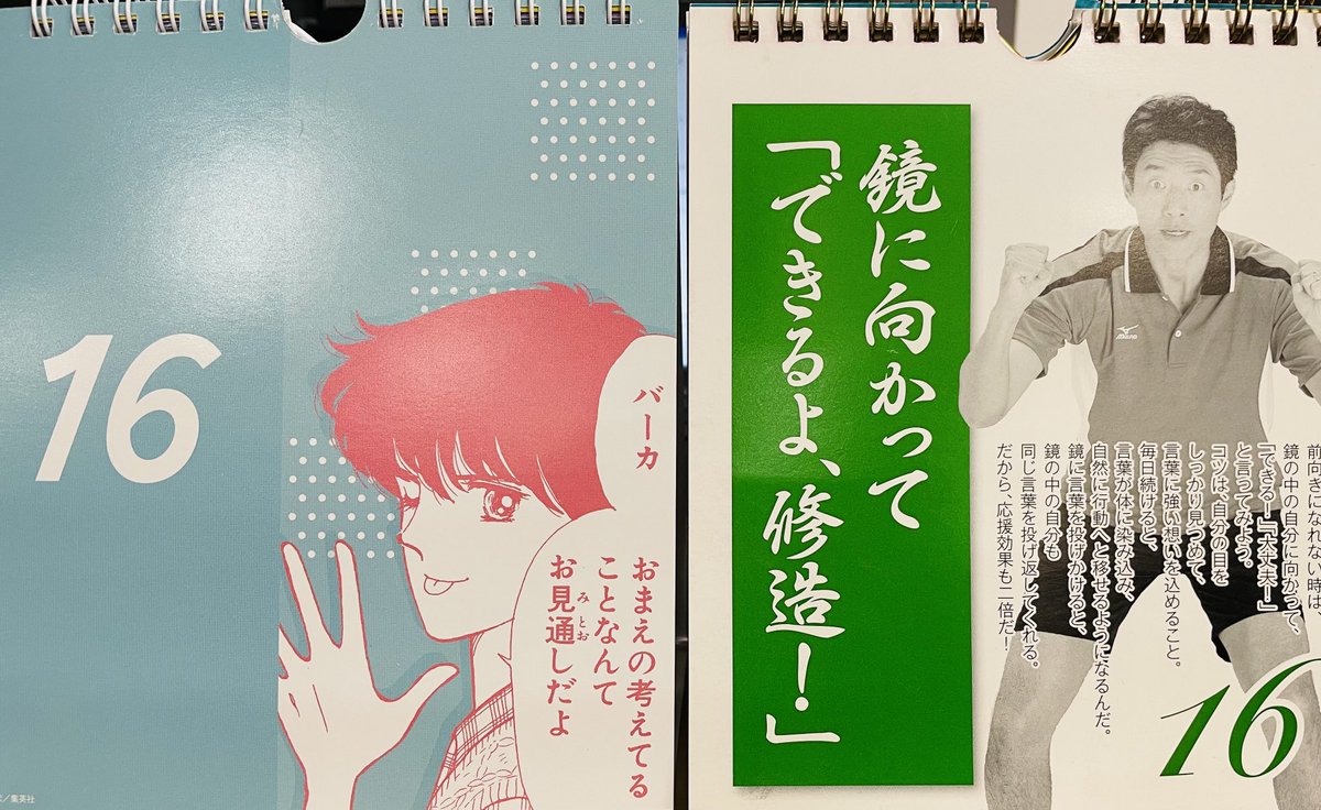 お見通しだよ!
#日めくり 