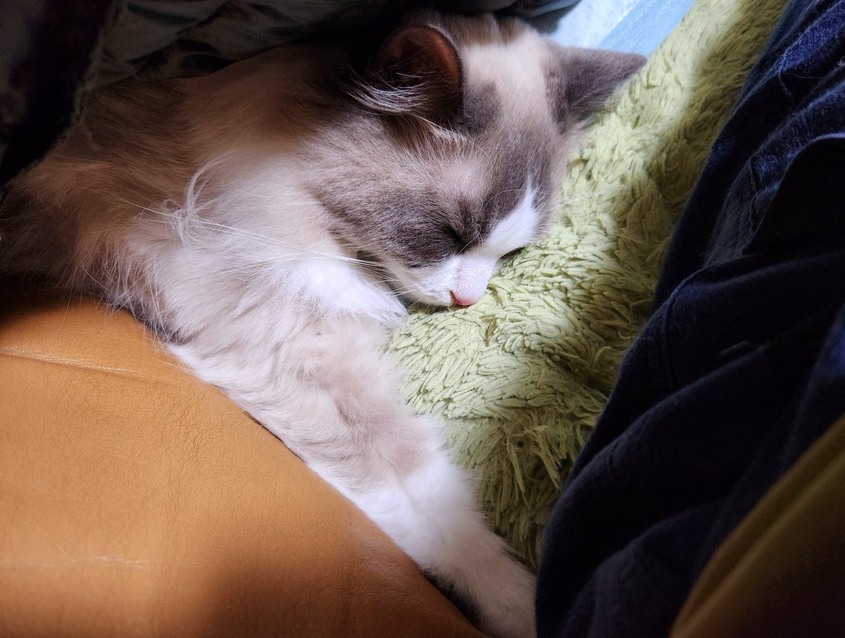 ナンナ ネンネお尻Touch 