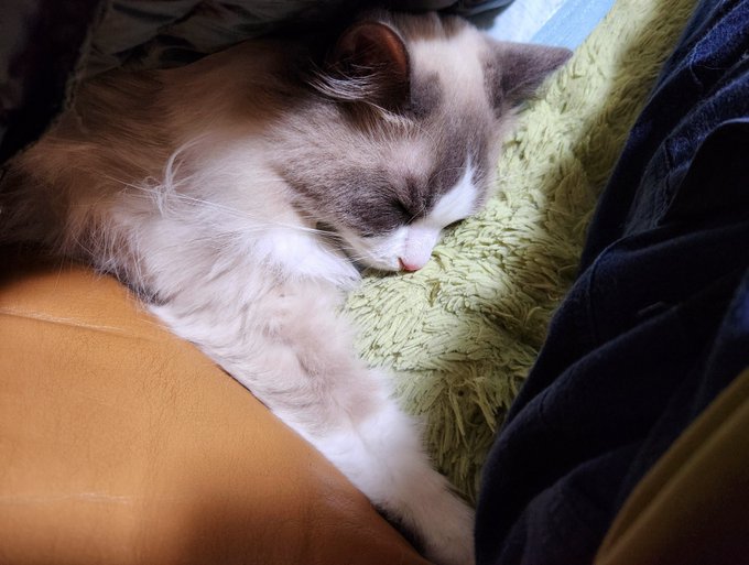 ナンナ ネンネお尻Touch 