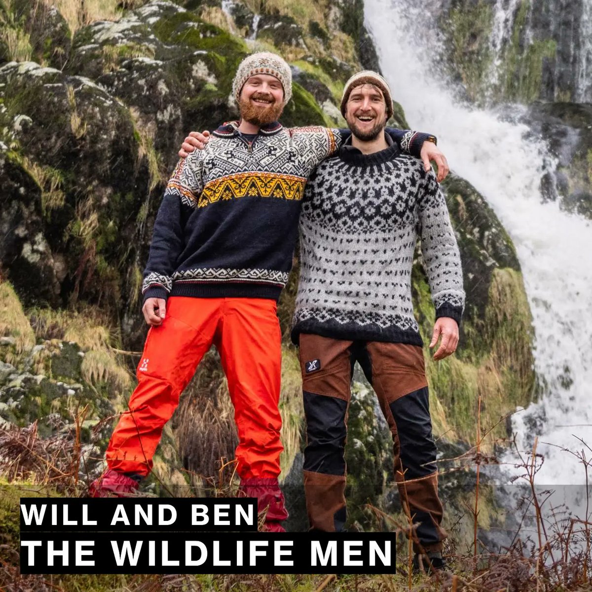 WillLeoHawkes's tweet photo. Thanks so much to BBC @WildlifeMag for reviewing our Will and Ben, The Wildlife Men podcast! You can read the review below and listen to the podcast here: https://t.co/6mysJfCj3c

"Scientists Ben Porter (@bardseyben) and Will Hawkes first met while studying in Cornwall and now they’ve got together to make a podcast. Each short episode brims with infectious enthusiasm as the friends bring to light ‘those species we often overlook or don’t even notice’.

They take it in turns to focus on a subject of personal fascination, all of which are described in lyrical detail, delving into a mix of scientific observations and folklore. I enjoyed the wildlife chit-chat and sharing of stories that bookends the episodes. This is not a super slick production but it’s pleasingly authentic, and you can’t help but warm to this very likeable pair of young naturalists." https://t.co/5Ihh5aj6KD