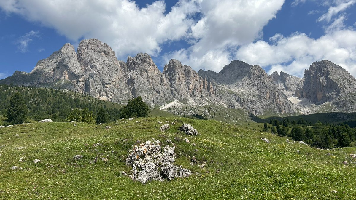 M_Hofmann83's tweet photo. Guten Morgen zusammen! Gestern habe ich wilden Edelweiß gefunden! Was für eine schöne Gegend für Wanderfreunde! #Südtirol #ColRaiser https://t.co/CTGq0b5ICa