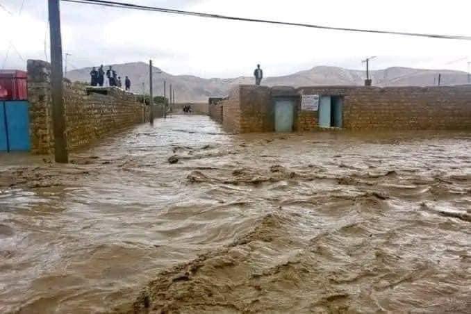 S_MIAKHEL's tweet photo. د ننګرهار د سیلابونو قربانیانو ته تسلیت وایم او دې غم کې ورسره ځان شریک ګڼم. خدای دې د افغانستان په ولس ورحمبږي چې د سماوي او انساني مصیبتونو سره مخامخ دي.

په داسې حالت کې د شخصي مرستو تر څنګ، دا د حاکمې ډلې، ملګرو ملتونو او نورو نړیوالو ادارو مسوولیت دی چې خلکو ته بشري مرستې ورسوي.

داسې وخت کې مشروع حکومتونه د ملګرو ملتونو نه د نړیوال اپیل غوښتنه کوي او مرستې جلبوي خو له بده مرغه د طالبانو حاکمه ډله په دې موقف کې نه ده چې د دنیا مرستې جلب کړي.

I extend my condolences to the victims of the floods in Nangarhar and share in their grief. May God have mercy on the people of Afghanistan who are facing both natural and human-made disasters.

In such circumstances, besides individual assistance, it is the responsibility of the ruling group, the United Nations, and other international organizations to deliver humanitarian aid to the people.

In such times, legitimate governments appeal to the United Nations for international support and attract aid. Unfortunately, the Taliban regime is not in a position to garner the world's assistance.
@UNAMAnews @UNDP @EUinAfghanistan @unafghanistan @UNHCRAfg @SR_Afghanistan