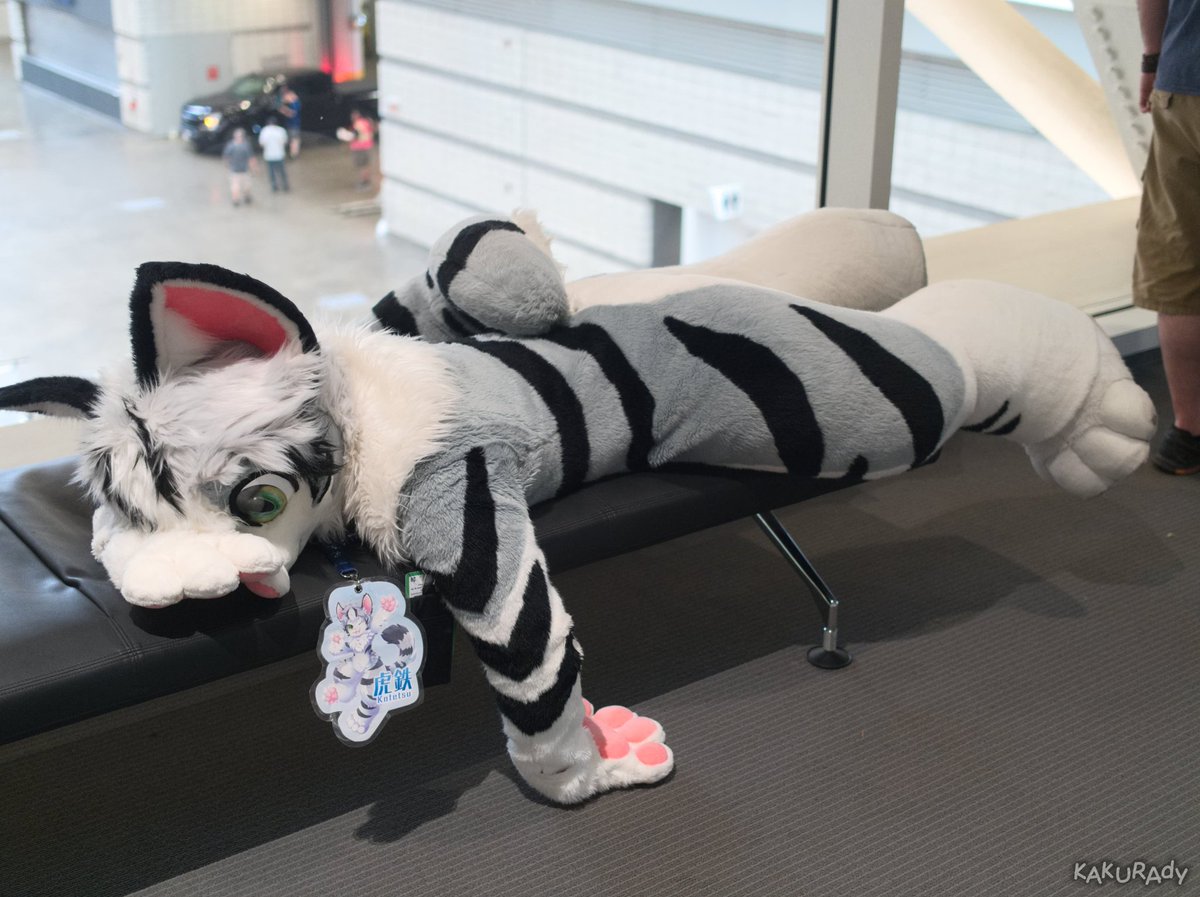 They ran out of catnip...

📸<a href="/kakurady/">Kakurady</a>