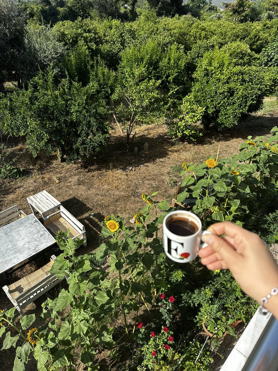 ervaseven07's tweet photo. Günaydınnn🌻🌻 https://t.co/C3muP7L1mJ