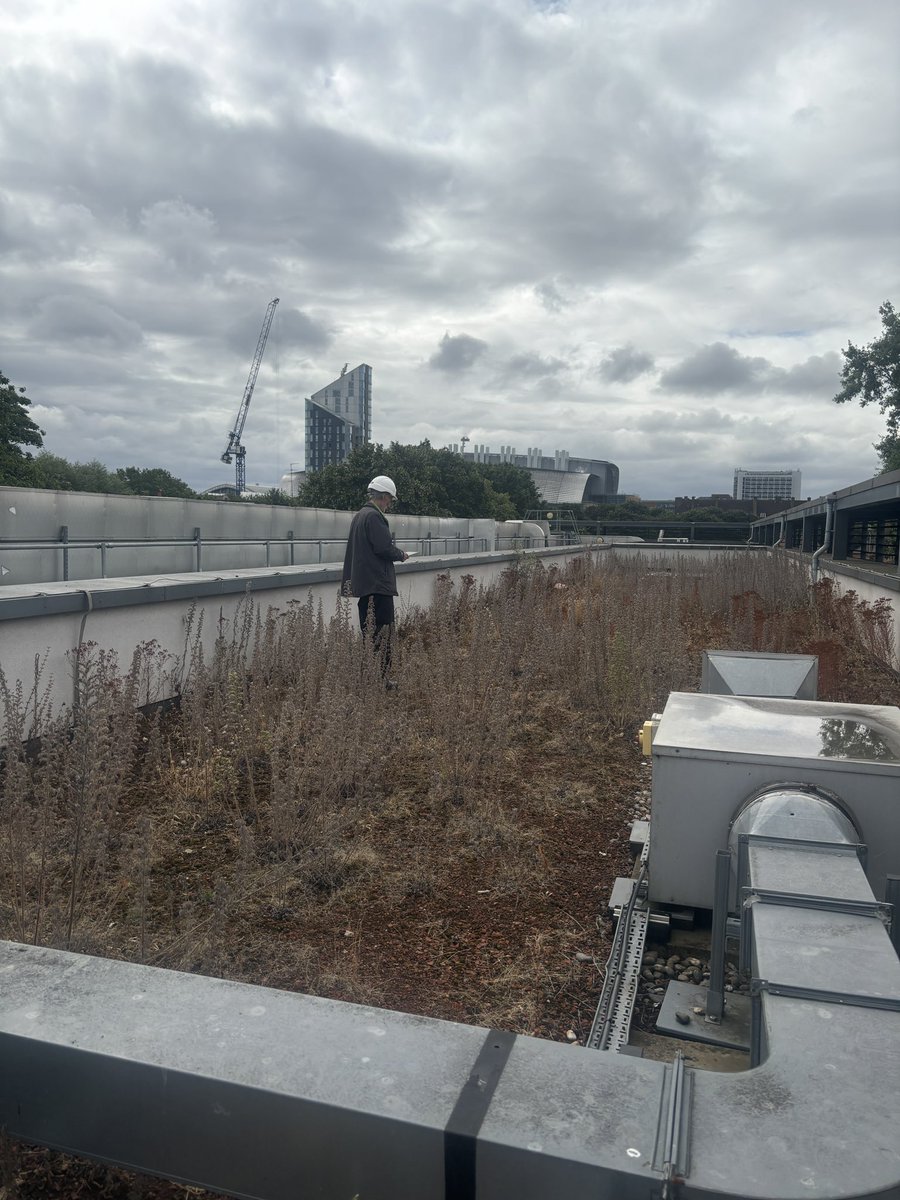 PowerUpNLdn's tweet photo. We made it! #ShareOffer is closed! We have raised £130k! 
Excited to announce that we will be installing solar panels on @RegentHighSch in end of July and @ParliHillSchool in mid of August! 

Stay tuned! We will post updates throughout the installation! https://t.co/EqU83V7TEk