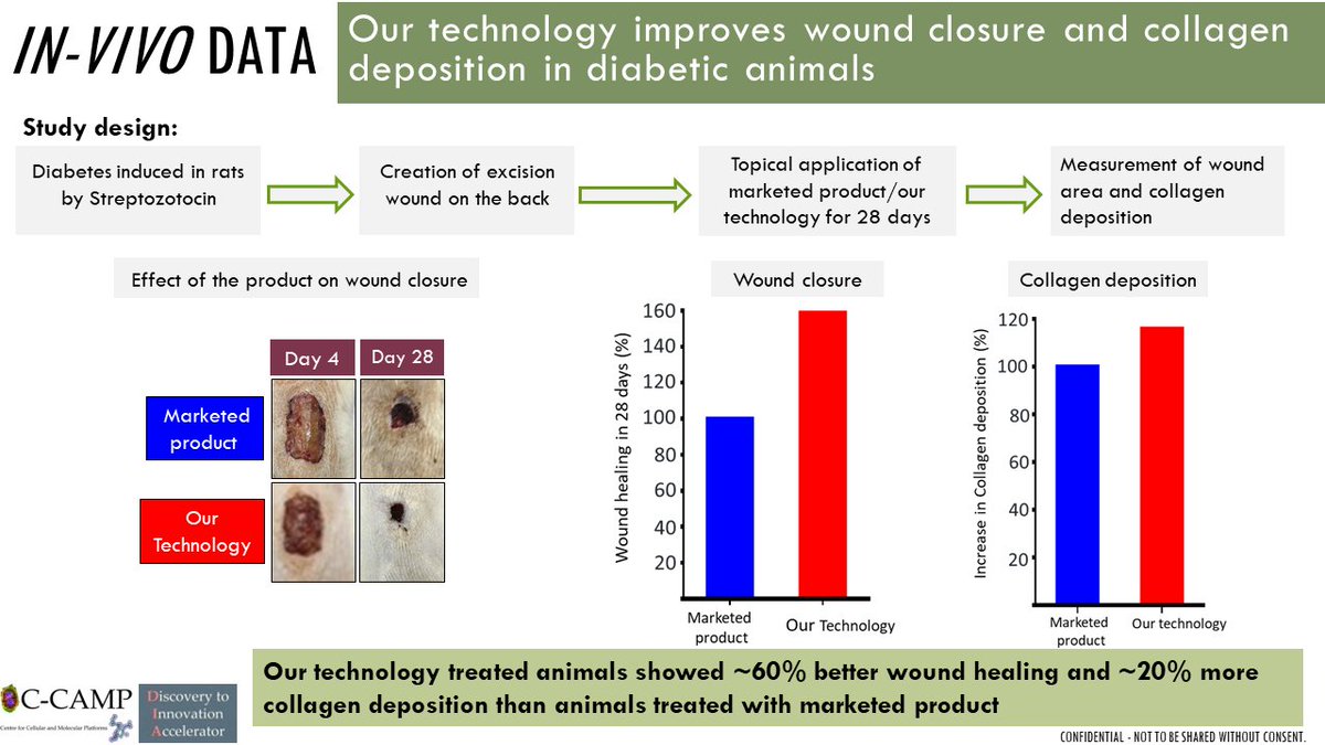 CCAMP_India's tweet photo. #Technology Available for #Licensing: Researchers at CCAMP in collaboration with @DBT_CDFD Hyderabad have successfully developed and tested in mice a novel topical formulation RegenHeal that shows significantly accelerated complex wound healing through promoting regeneration of tissues
The Problem: The risk factor for complex foot ulcers is as high as 15-25% in diabetic patients as per a global study conducted in 2018. Efficient wound healing is a major challenge in case of Diabetic wounds/ foot ulcers, Pressure ulcers, Venous leg ulcers. Impaired wound healing greatly impacts physical, psychological, social, and economic aspects for patients, affecting their quality of life, even calling for amputations in certain difficult cases.
Current Scenario: Frequent surgical debridement, antibiotic dressings, or recombinant growth factor injections are the solutions employed now. All have limitations ranging from requirement of skilled medical personnel, secondary antimicrobial resistance, low efficacy and high cost.
RegenHeal's performance: On a head to head with a marketed product, in vivo data showed that the 2 proprietary components of RegenHeal have significantly better:
a) Wound healing
b) Collagen deposition in diabetic animals.
We believe it will also be useful for treatment of other complex wounds like pressure ulcersΒ andΒ burns.
We are inviting licensing interests. To know more, please reach out to the C-CAMP Office of Technology Transfer (#OTT): π§ ott@ccamp.res.in π²080 6718 5322
@Taslimarif @DBTIndia @PrinSciAdvOff @kris_sg @BIRAC_2012 @Convatec @MDT_Diabetes @cardinalhealth @SmithNephewPLC @integra_life @JNJNews @MiMedx @Coloplast_WCare @orgoholdingsinc @3M