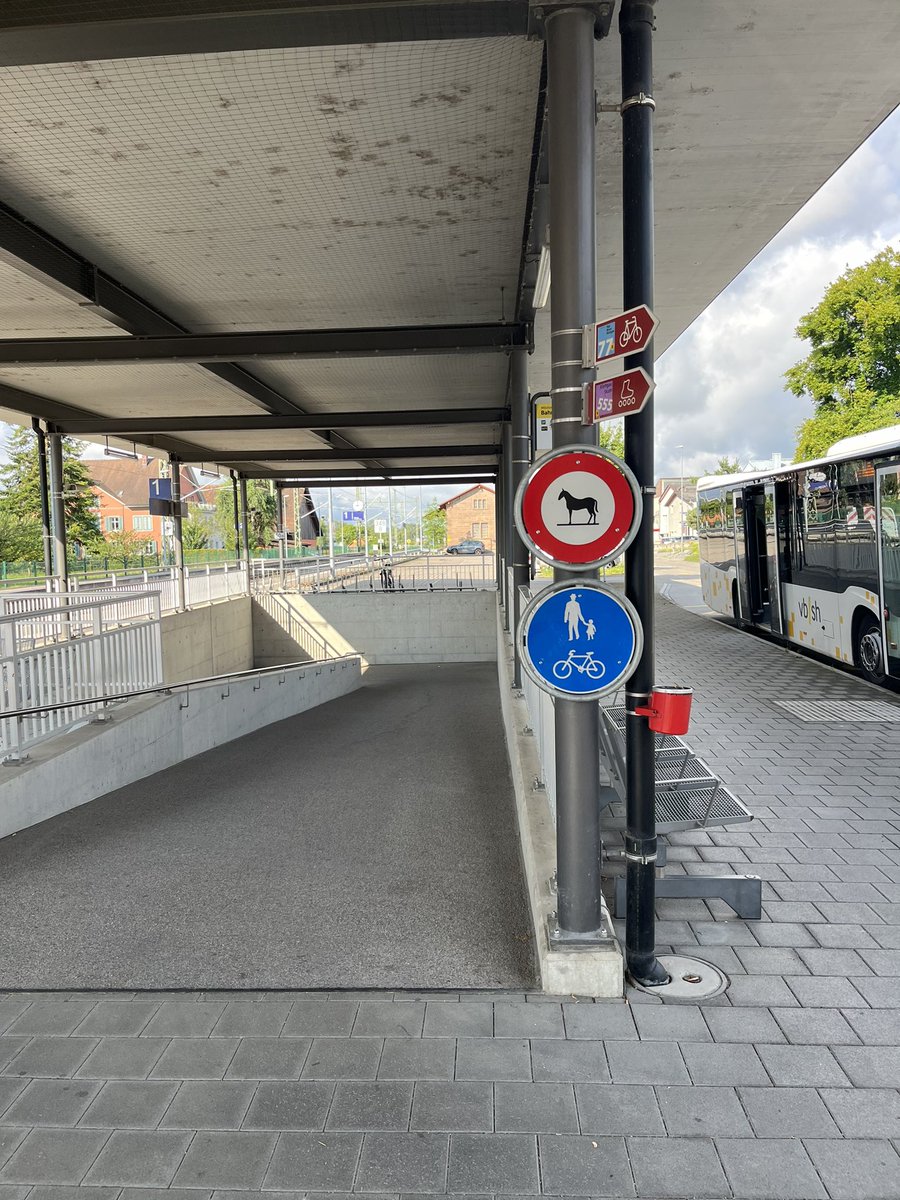 Die Schweizer denken an alles. Hätten die das Schild nicht hingemacht, wäre ich mit meinem Pferdchen die Bahnunterführung runter geritten.