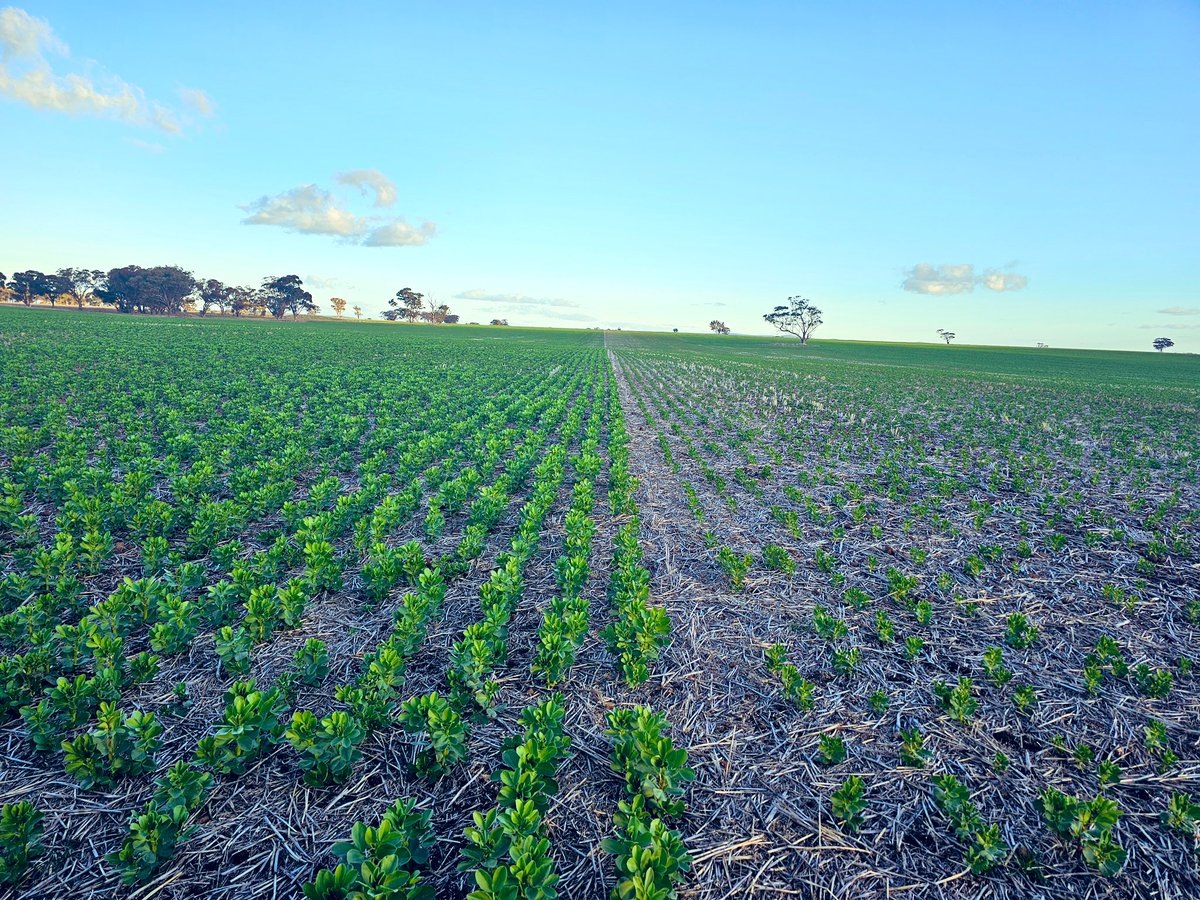 Matt Witney tweet media