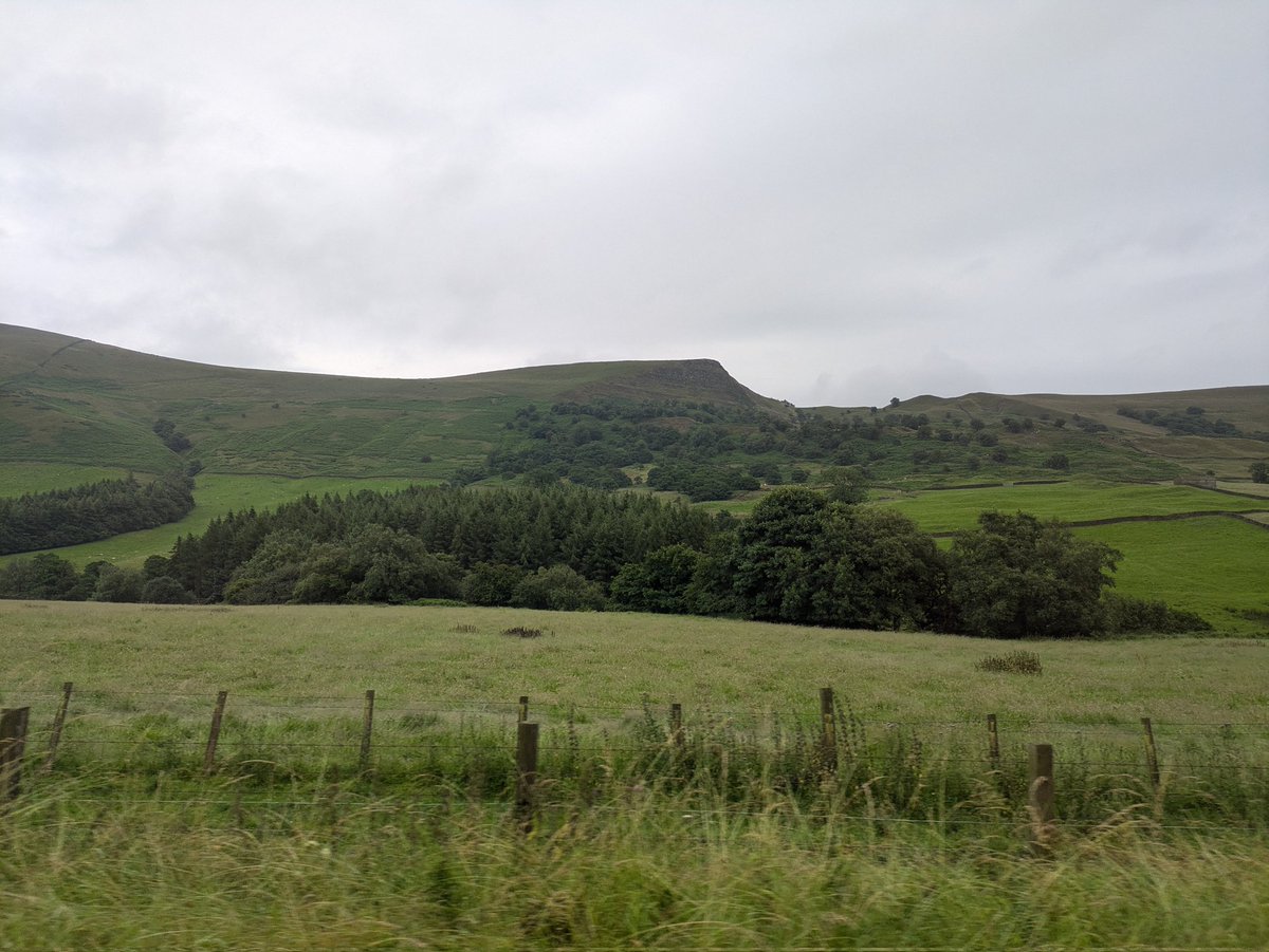 SteelCityDog_'s tweet photo. Back on the best line 💚
#hopevalleyline #derbyshire #viewfromthewindow https://t.co/IabdKK8yBB